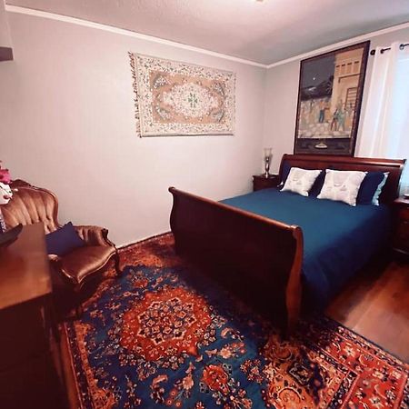 Serene Cozy Private Suite Patio ~ Upscale Berkeley Zewnętrze zdjęcie