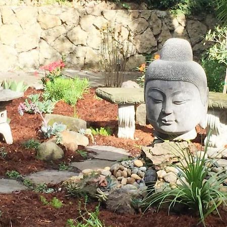 Serene Cozy Private Suite Patio ~ Upscale Berkeley Zewnętrze zdjęcie